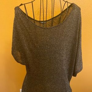 Shimmery Asymmetrical Batwing Evening Top/Dress